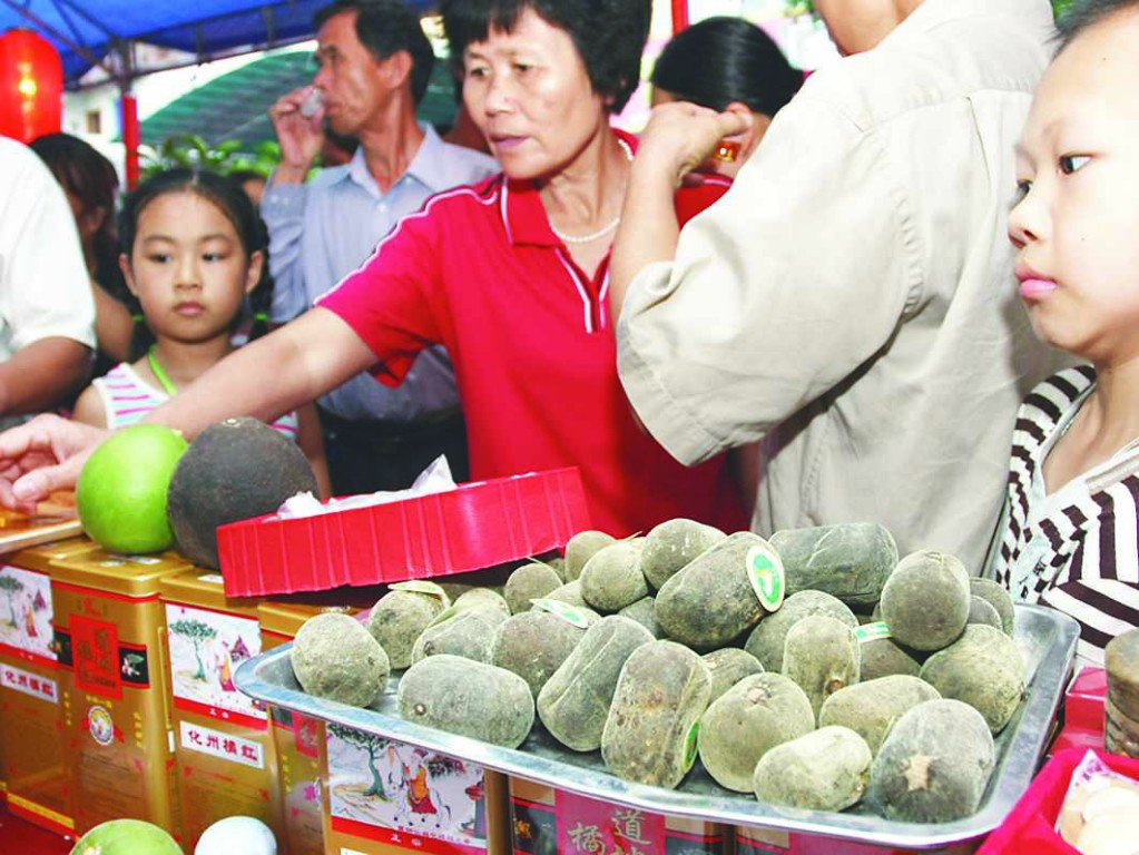 海龙帽,化州橘城网 海龙帽,化州橘城网