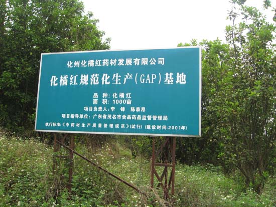 海龙帽,化州橘城网 海龙帽,化州橘城网